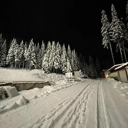 Cozy B35 In Grand Lejlighed