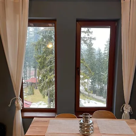 Cozy B35 In Grand Appartement Pamporovo
