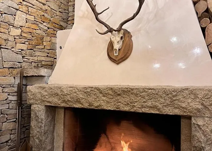 Cozy B35 In Grand * Pamporovo