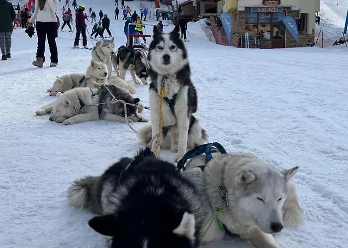 Apartment Cozy B35 In Grand Pamporovo